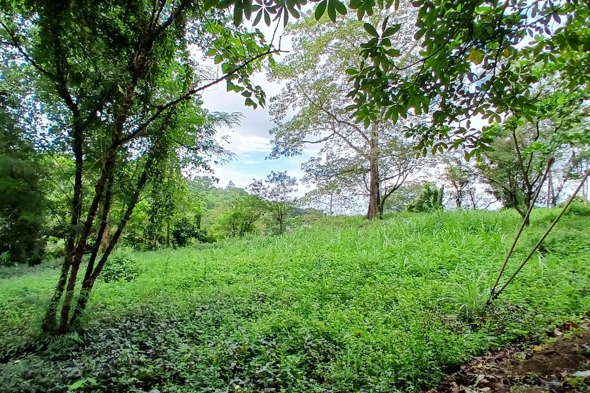 Land for Sale in Dela Paz, Antipolo, Rizal – photo 5