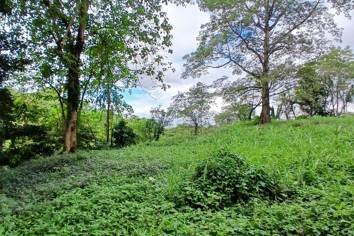 Land for Sale in Dela Paz, Antipolo, Rizal – photo 6