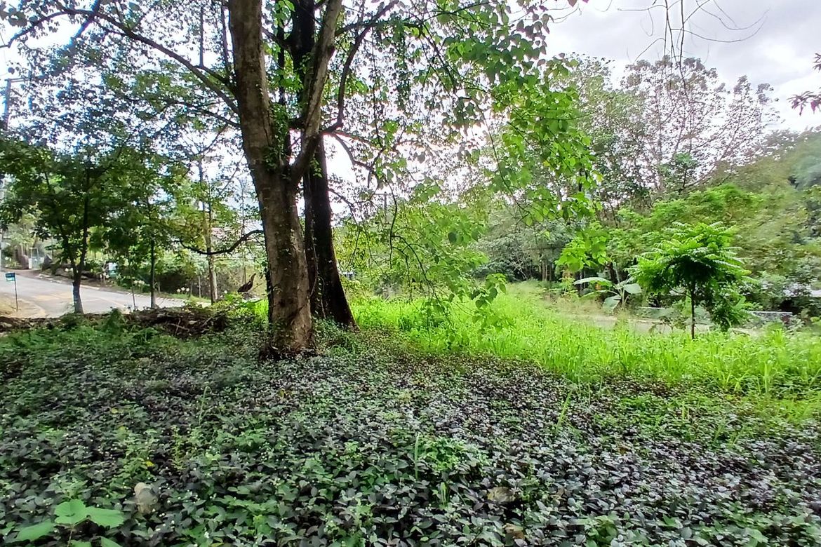 Land for Sale in Dela Paz, Antipolo, Rizal – photo 7