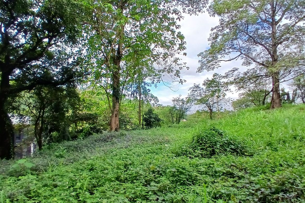 Land for Sale in Dela Paz, Antipolo, Rizal – photo 8