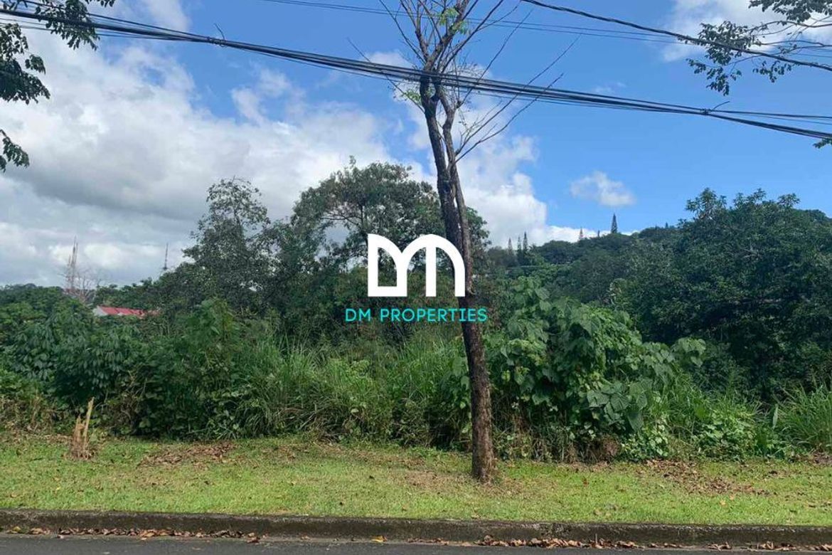 Land for Sale in Dela Paz, Antipolo, Rizal