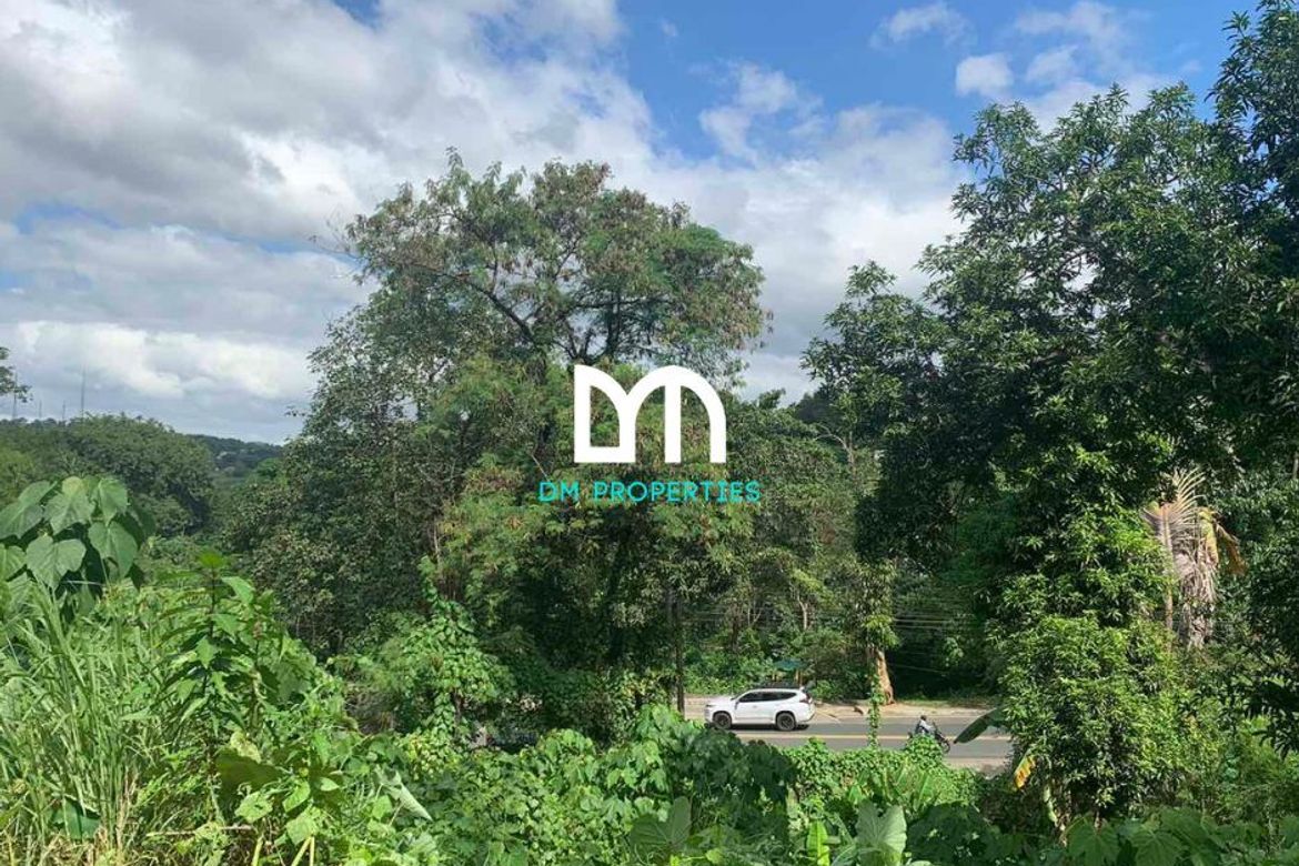 Land for Sale in Dela Paz, Antipolo, Rizal – photo 2