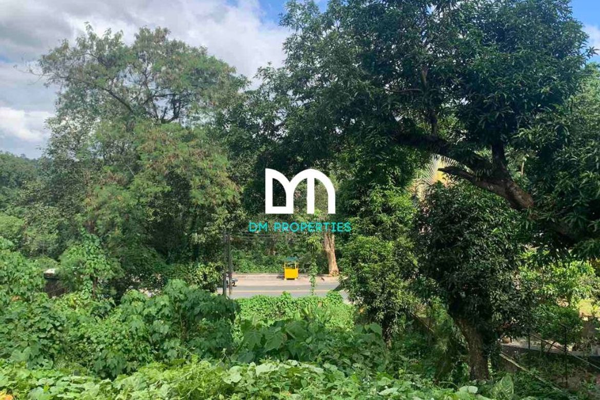 Land for Sale in Dela Paz, Antipolo, Rizal – photo 3