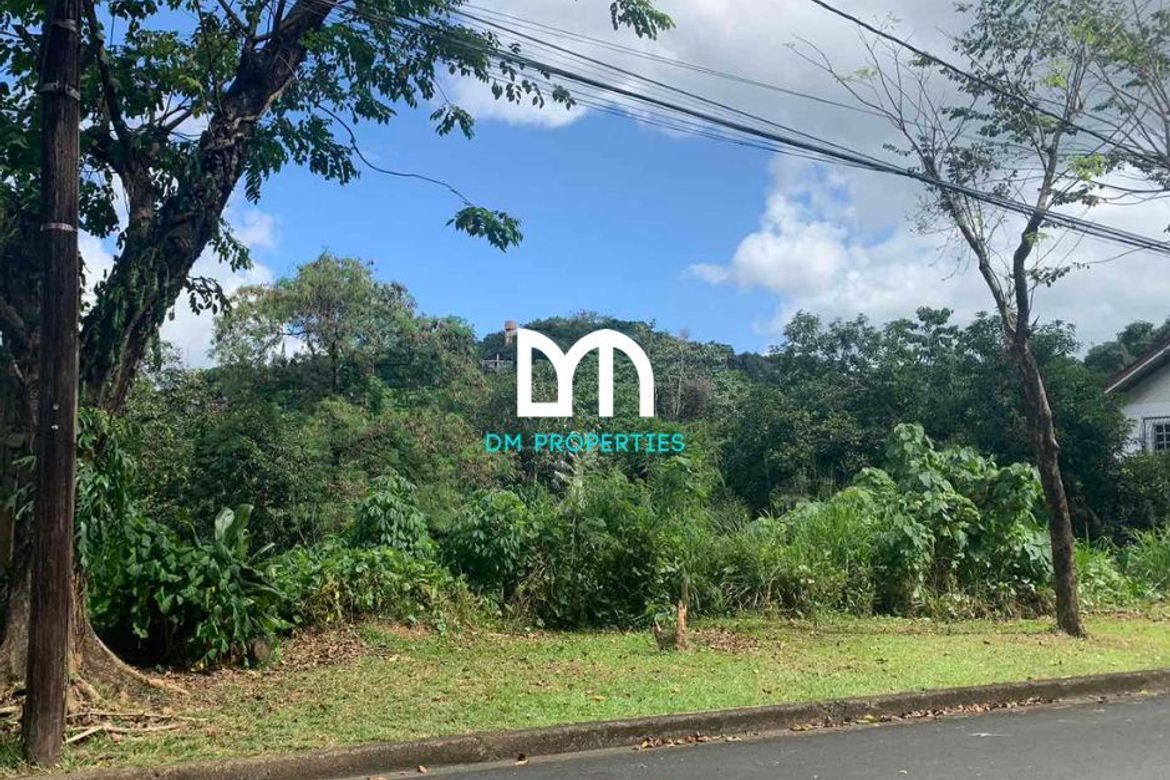 Land for Sale in Dela Paz, Antipolo, Rizal – photo 4