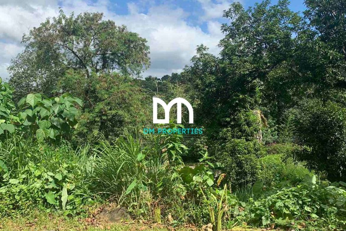Land for Sale in Dela Paz, Antipolo, Rizal – photo 5