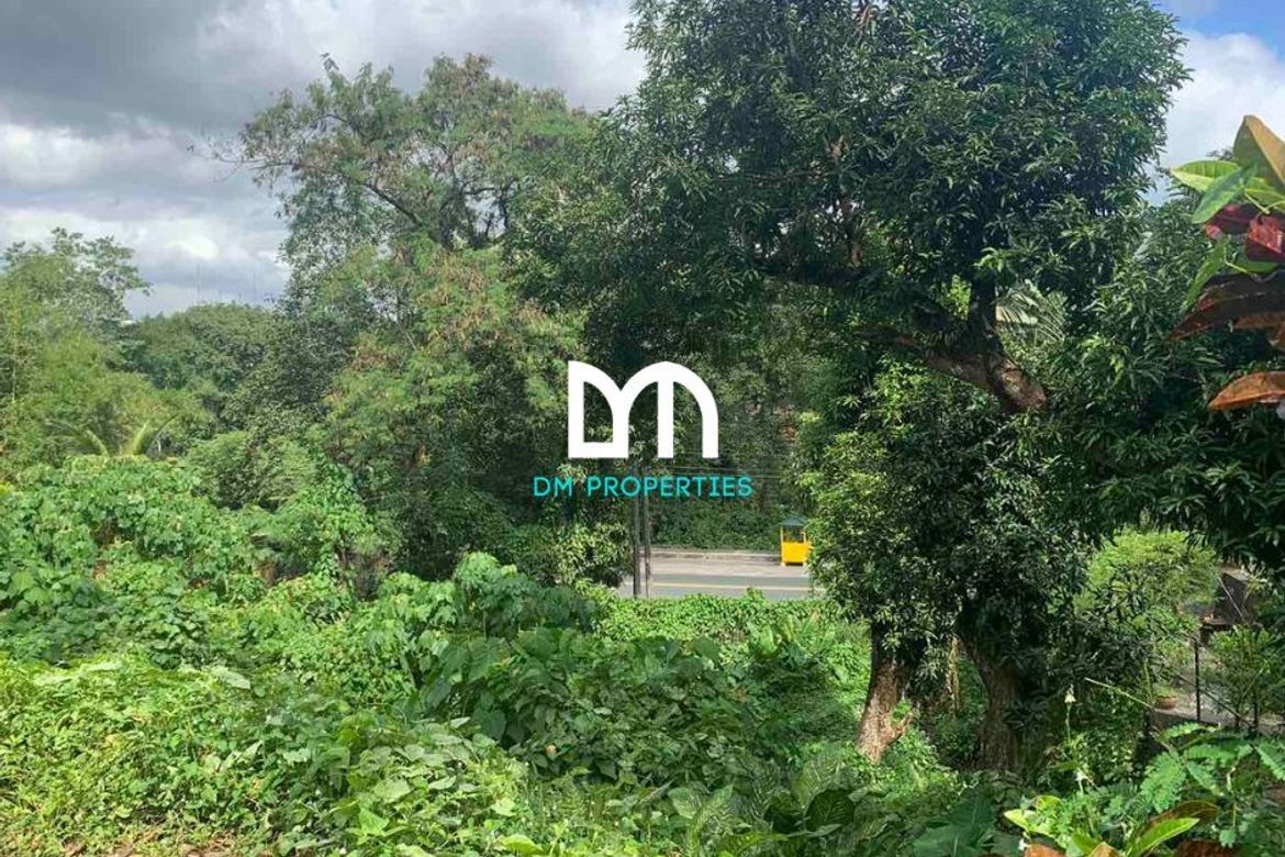 Land for Sale in Dela Paz, Antipolo, Rizal – photo 6