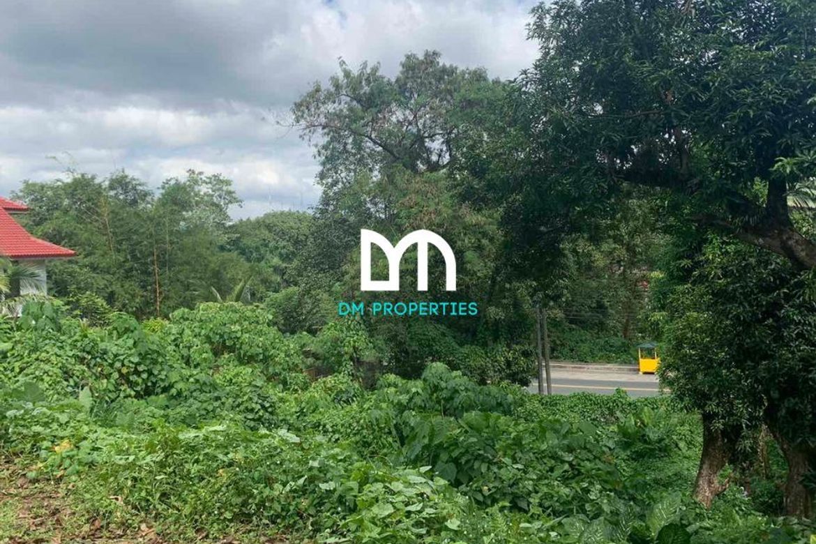 Land for Sale in Dela Paz, Antipolo, Rizal – photo 7