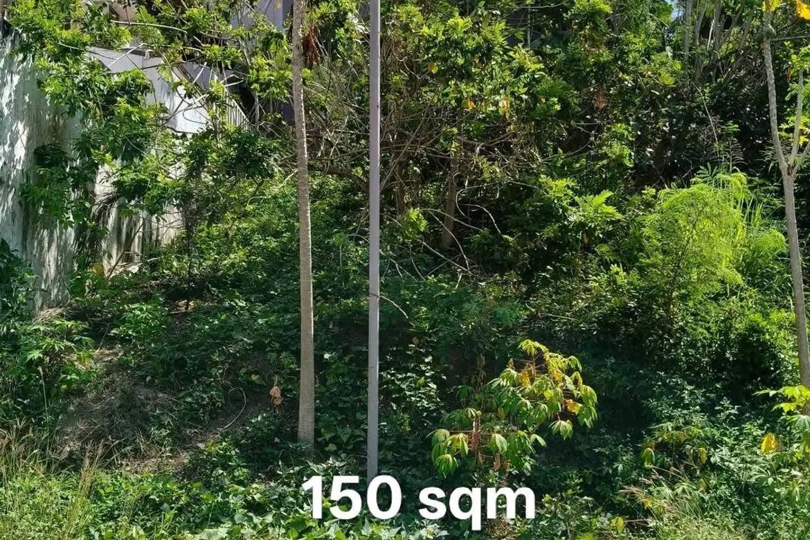 Land for Sale in Dela Paz, Antipolo, Rizal