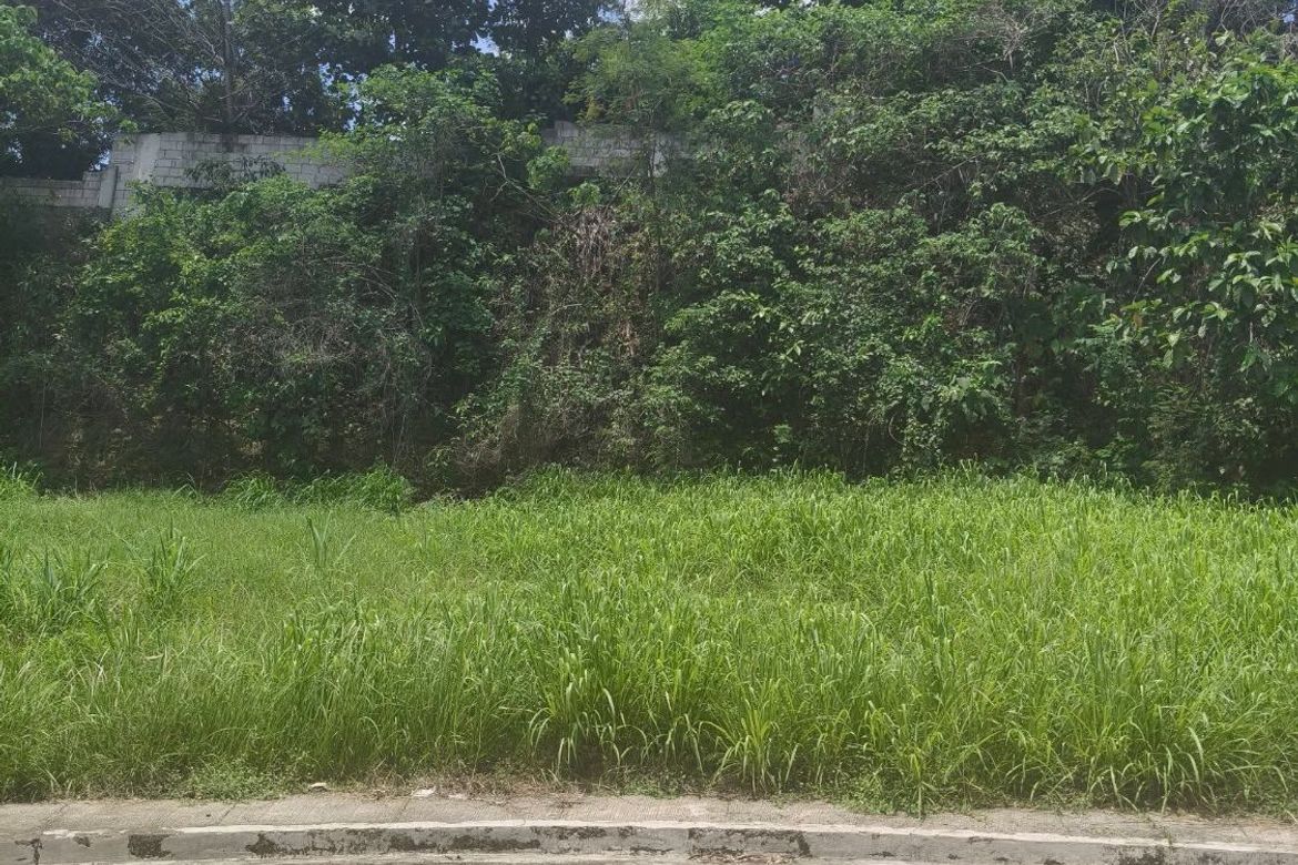 Land for Sale in Dela Paz, Antipolo, Rizal – photo 3