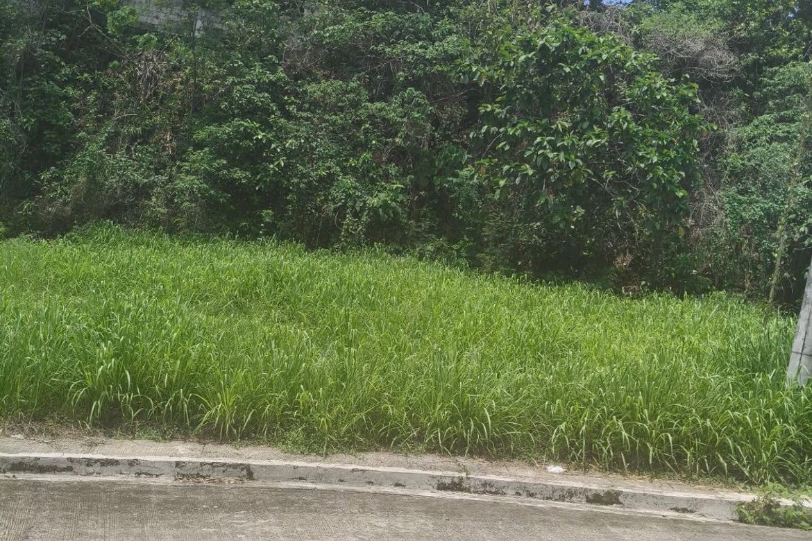 Land for Sale in Dela Paz, Antipolo, Rizal – photo 6