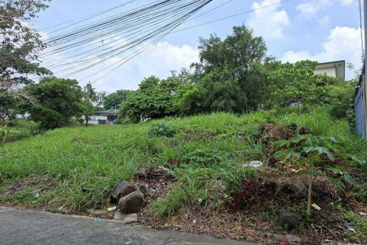 Land for Sale in Dela Paz, Antipolo, Rizal