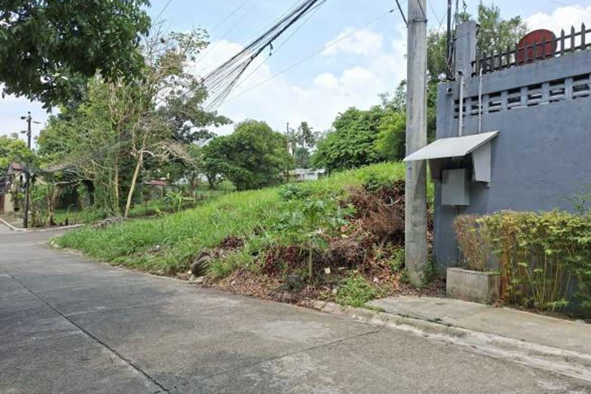 Land for Sale in Dela Paz, Antipolo, Rizal – photo 2