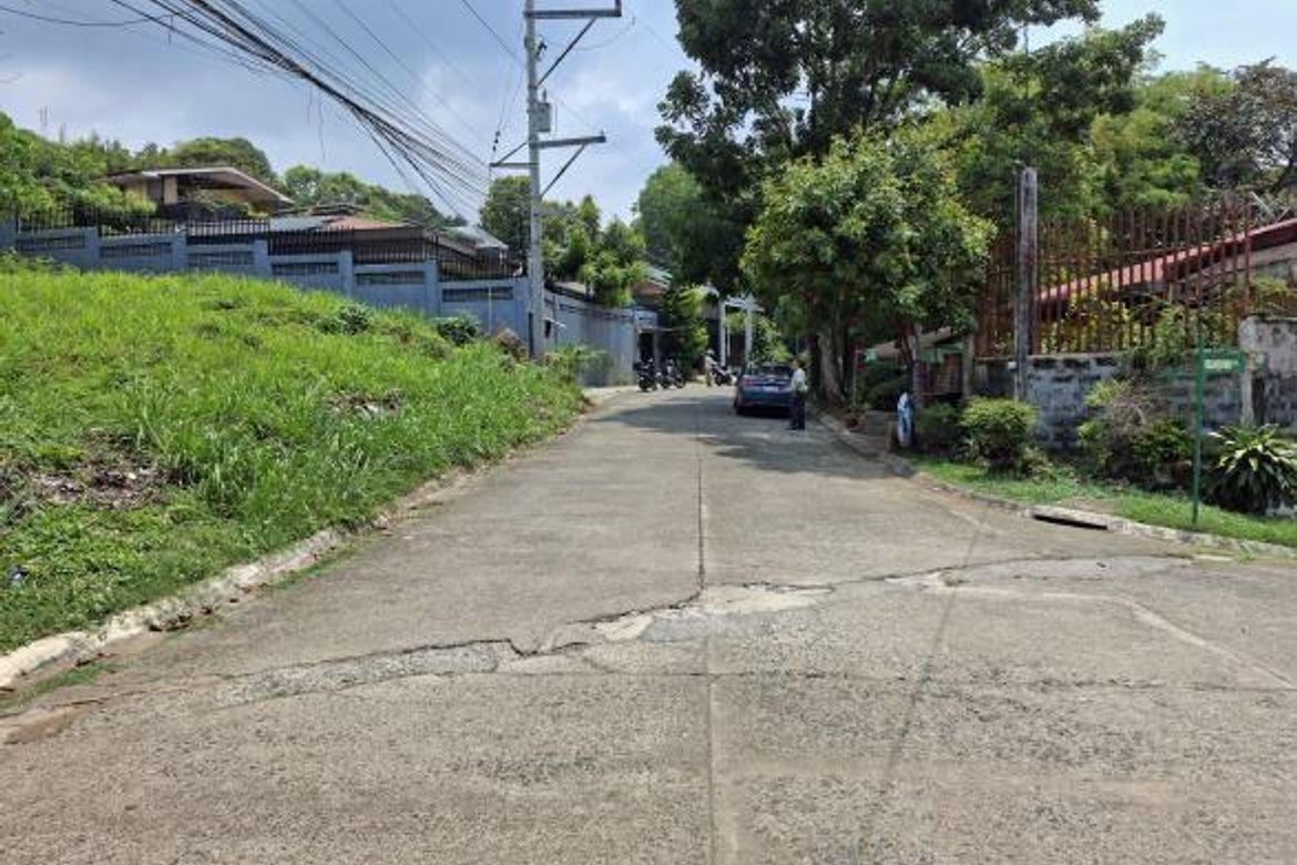 Land for Sale in Dela Paz, Antipolo, Rizal – photo 4