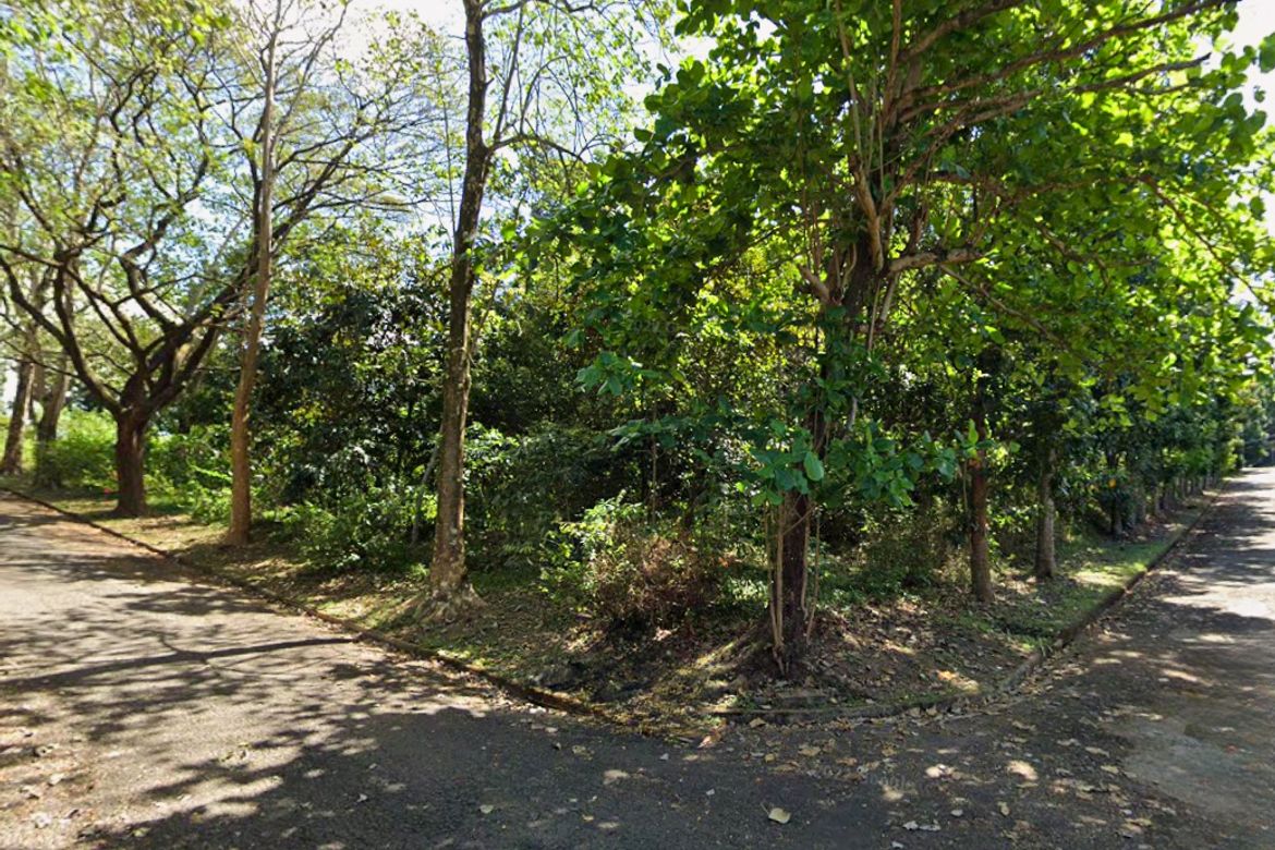 Land for Sale in Dela Paz, Antipolo, Rizal – photo 2