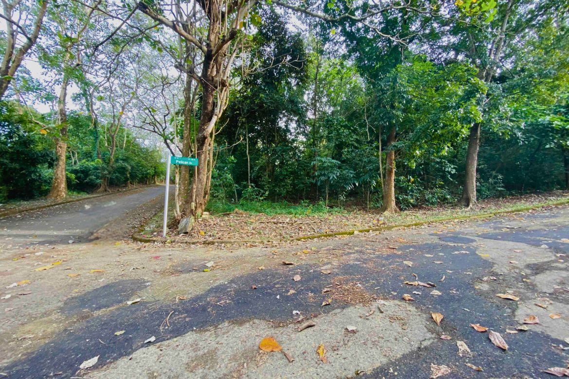 Land for Sale in Dela Paz, Antipolo, Rizal – photo 4