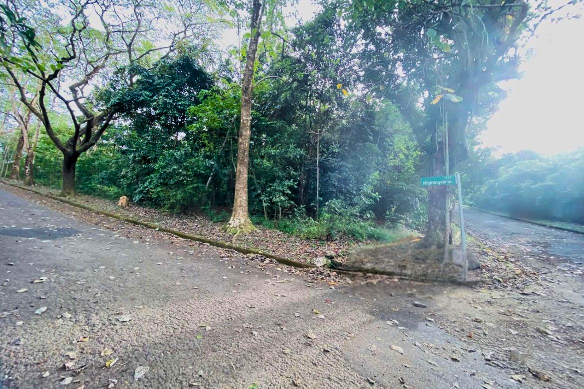 Land for Sale in Dela Paz, Antipolo, Rizal – photo 5