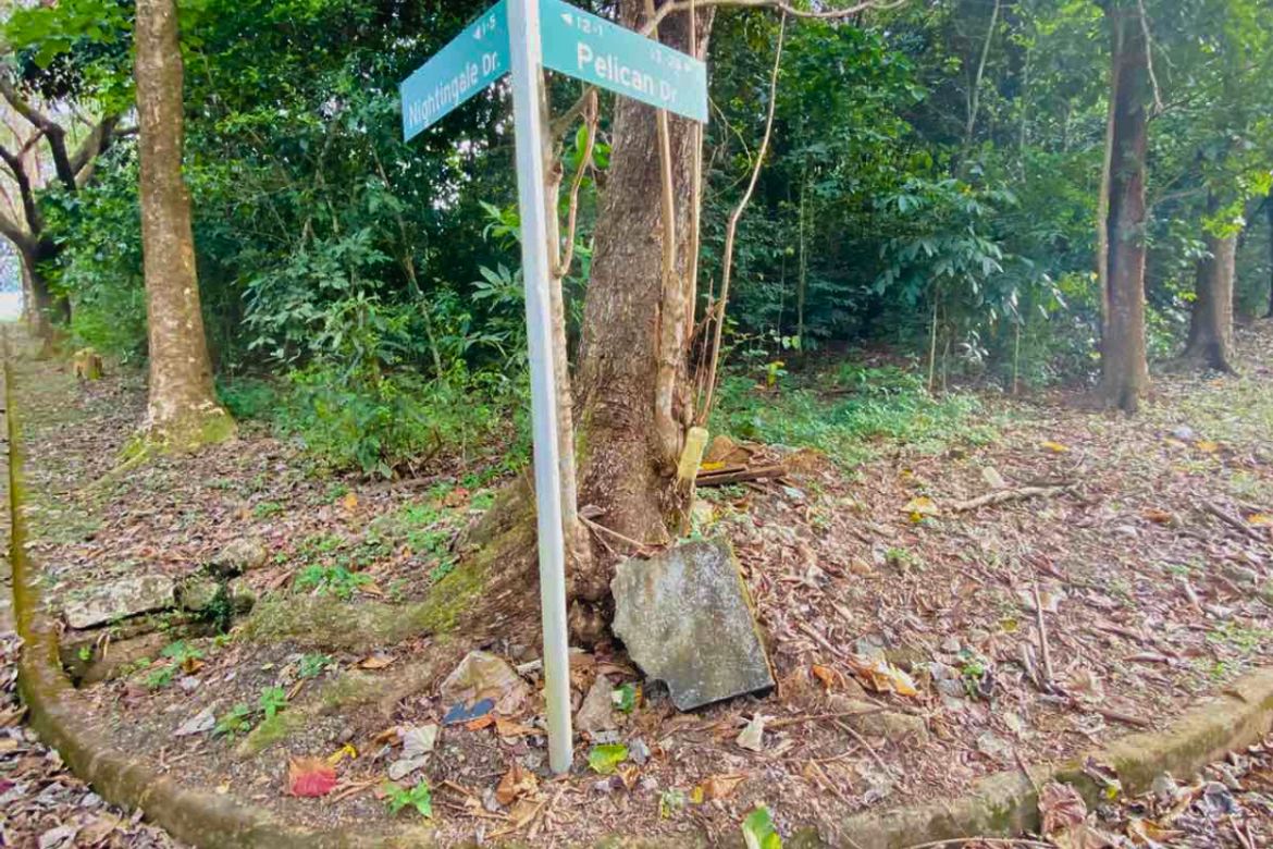 Land for Sale in Dela Paz, Antipolo, Rizal – photo 6