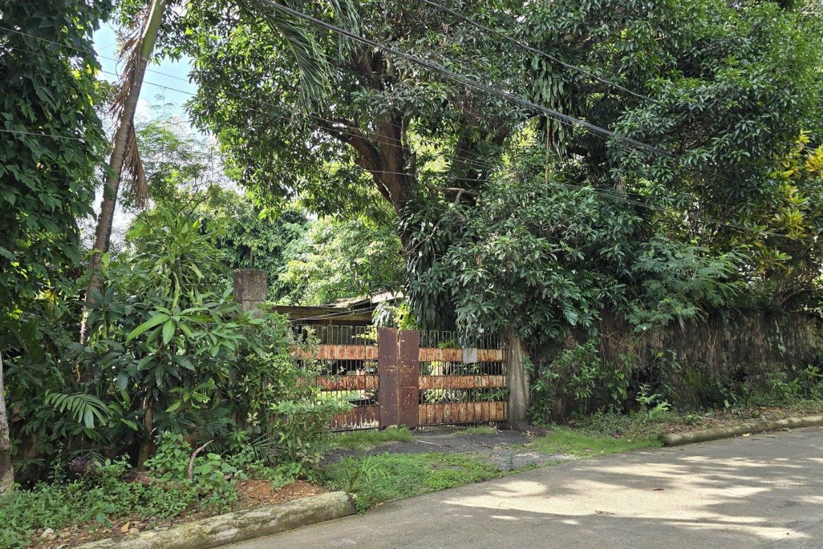 Land for Sale in Dela Paz, Antipolo, Rizal