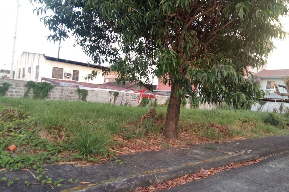 Land for Sale in Dila, Santa Rosa, Laguna – photo 2