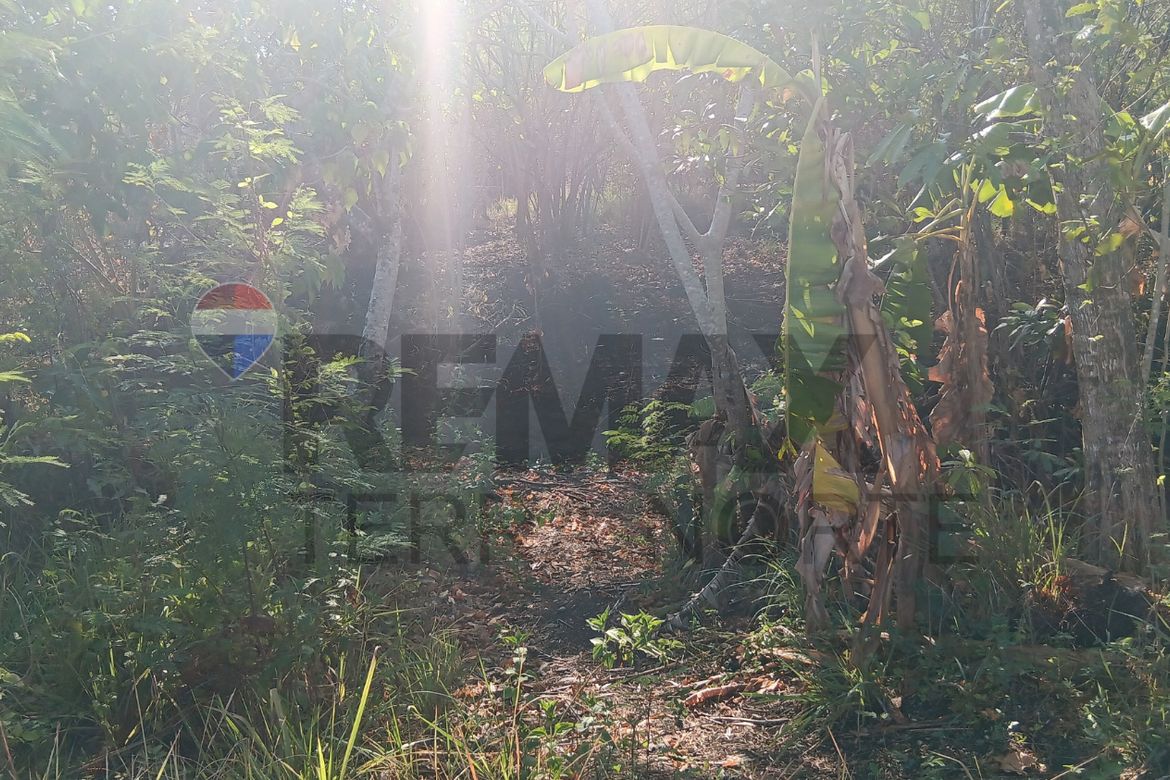 Land for Sale in Dilan, Pozorrubio, Pangasinan – photo 3