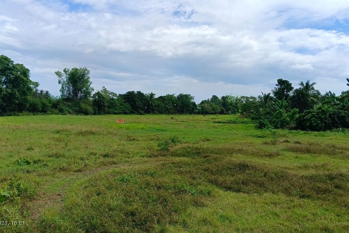 Land for Sale in Dinginan, Roxas, Capiz – photo 6