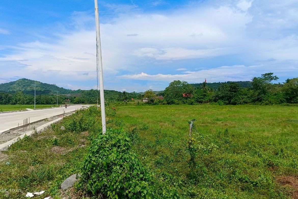 Land for Sale in Dinginan, Roxas, Capiz – photo 7