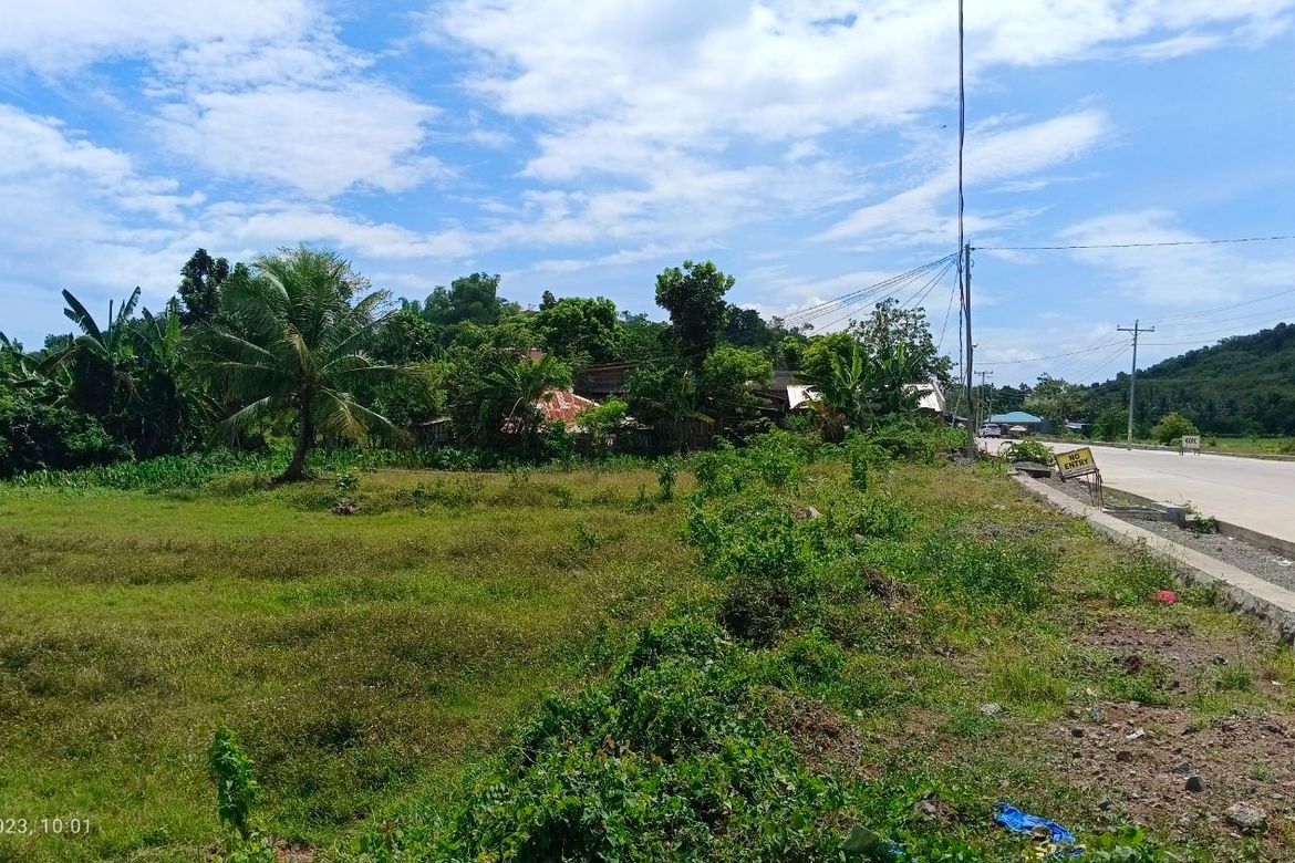 Land for Sale in Dinginan, Roxas, Capiz – photo 8