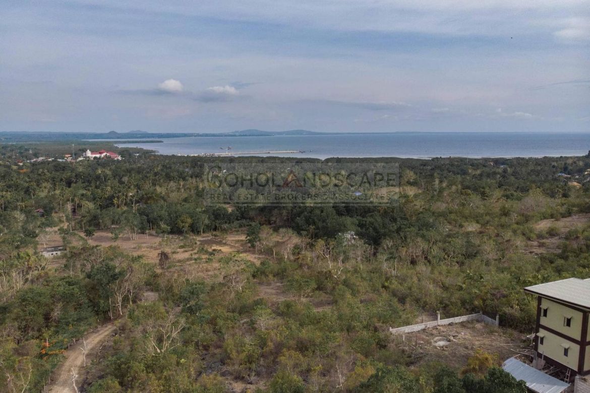 Land for Sale in Dipatlong, Maribojoc, Bohol