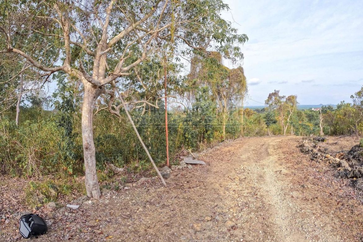 Land for Sale in Dipatlong, Maribojoc, Bohol – photo 2