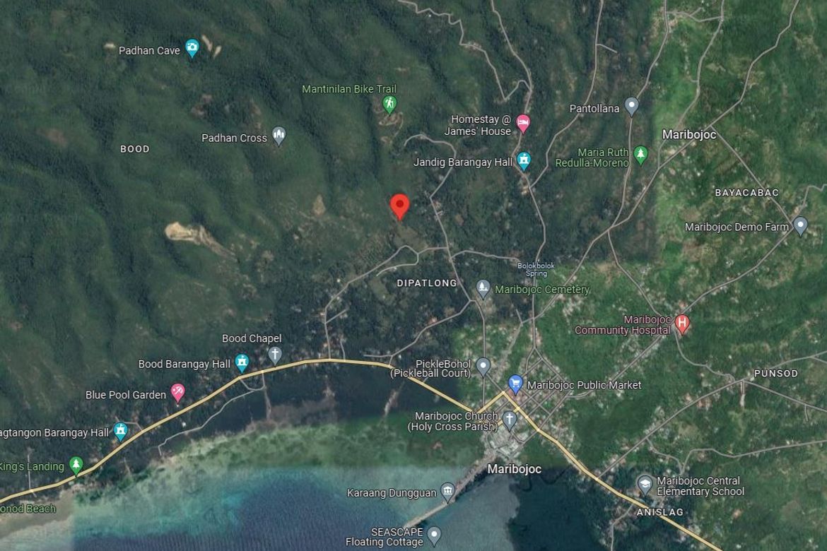 Land for Sale in Dipatlong, Maribojoc, Bohol – photo 4