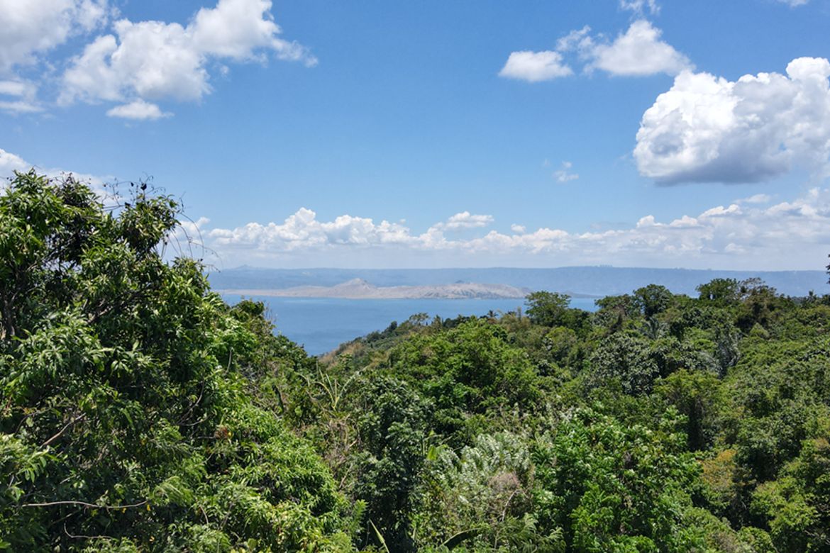 Land for Sale in District IV, Mataas na Kahoy, Batangas – photo 4