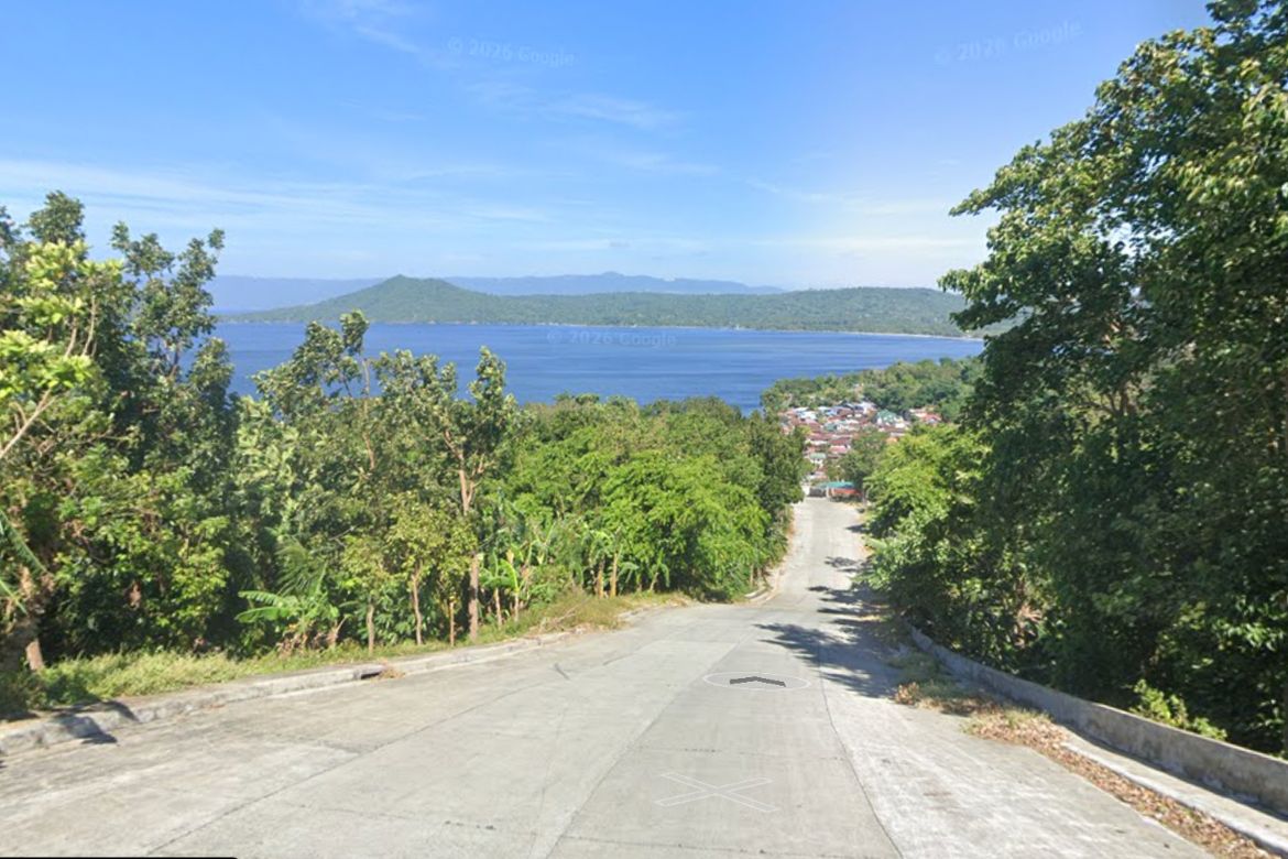 Land for Sale in District IV, Mataas na Kahoy, Batangas – photo 2