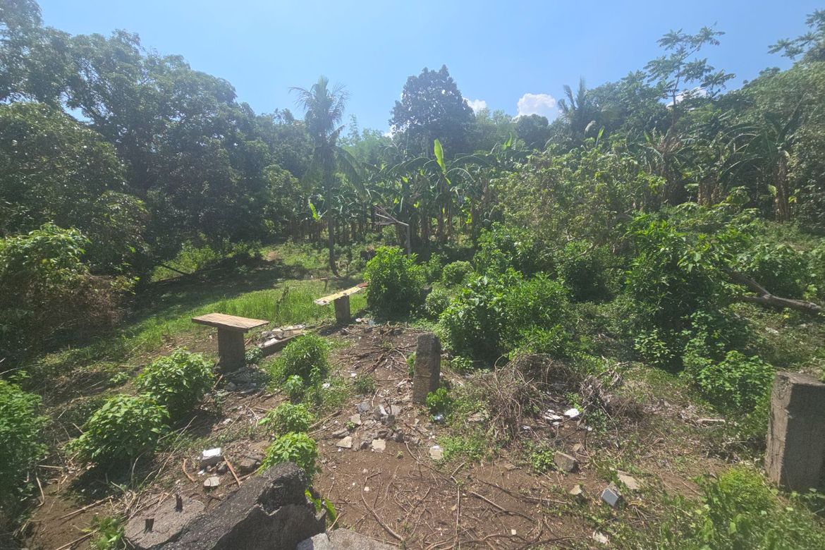 Land for Sale in District IV, Mataas na Kahoy, Batangas – photo 5