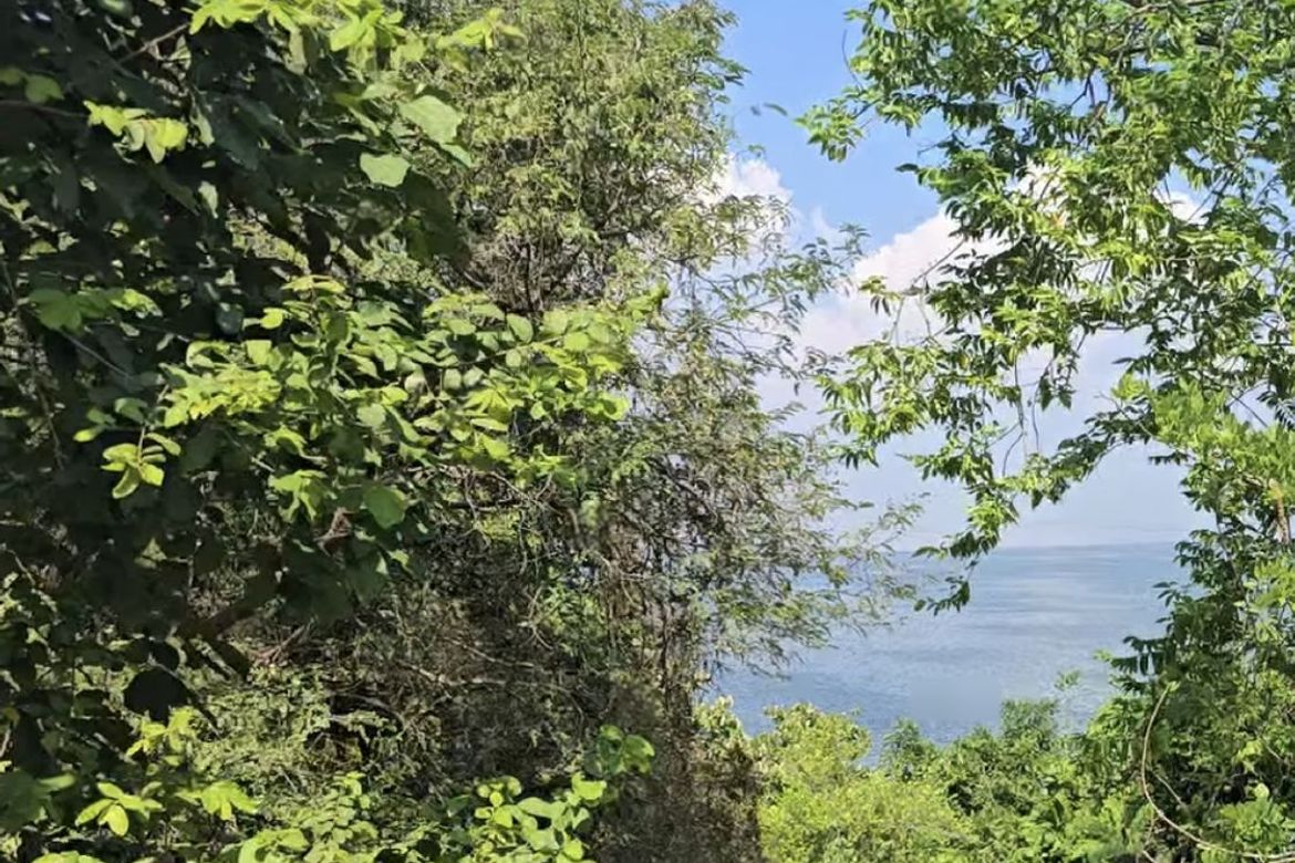 Land for Sale in District IV, Mataas na Kahoy, Batangas – photo 7