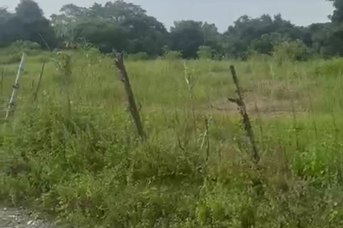 Land for Sale in District VII, Cuyapo, Nueva Ecija