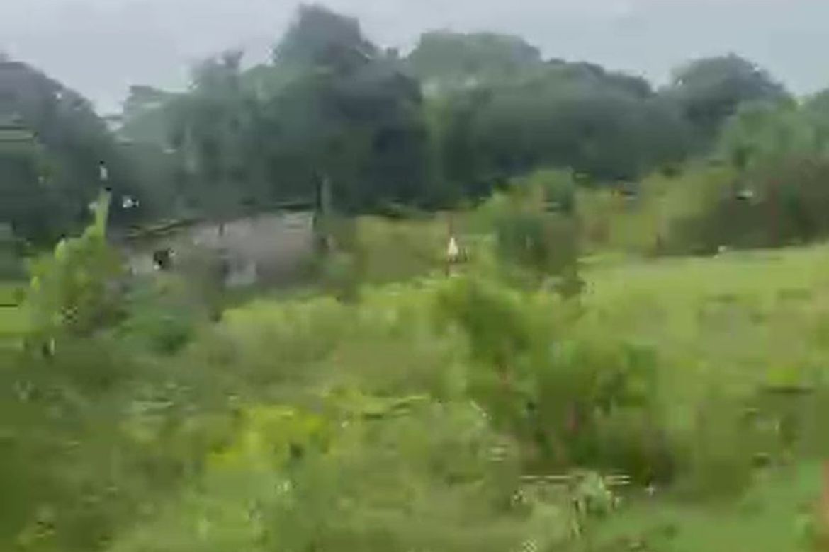 Land for Sale in District VII, Cuyapo, Nueva Ecija – photo 2