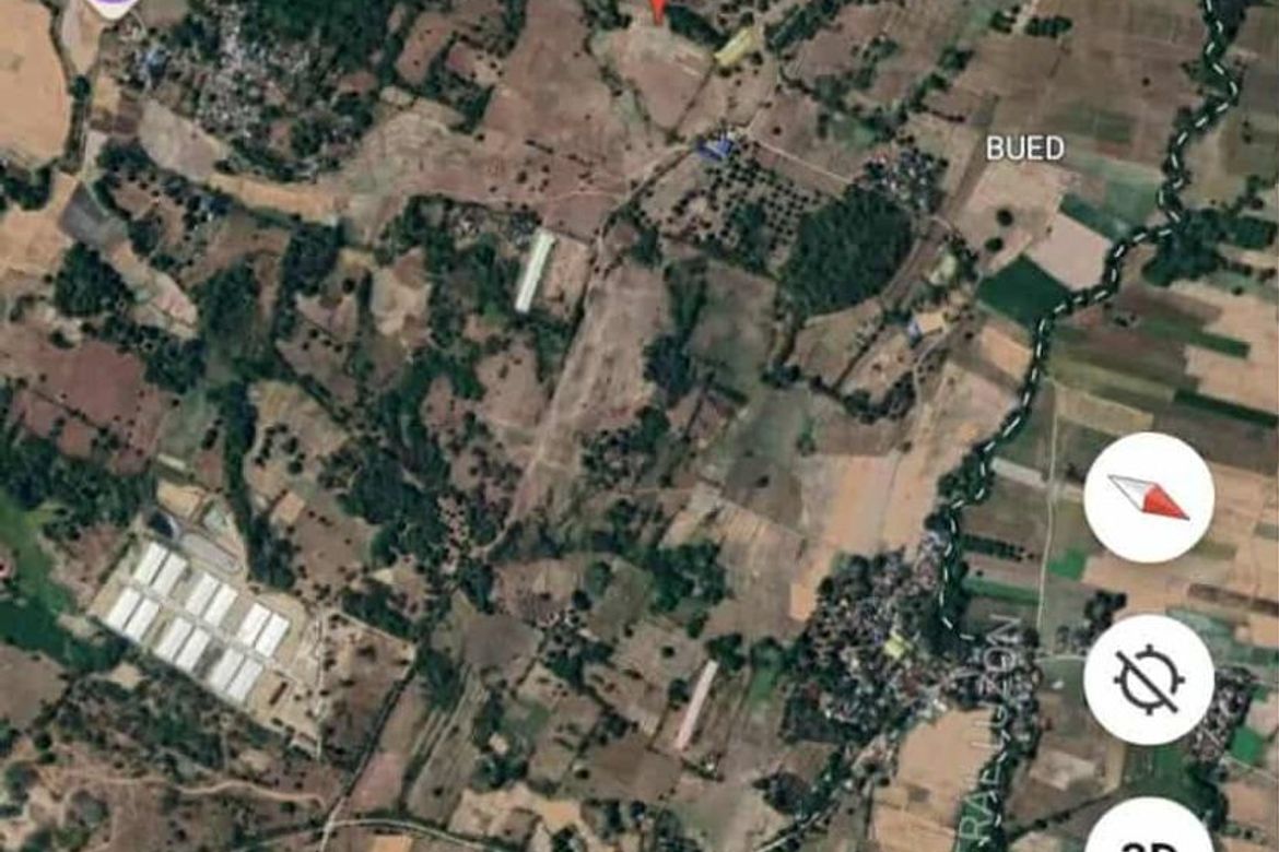 Land for Sale in District VII, Cuyapo, Nueva Ecija – photo 3