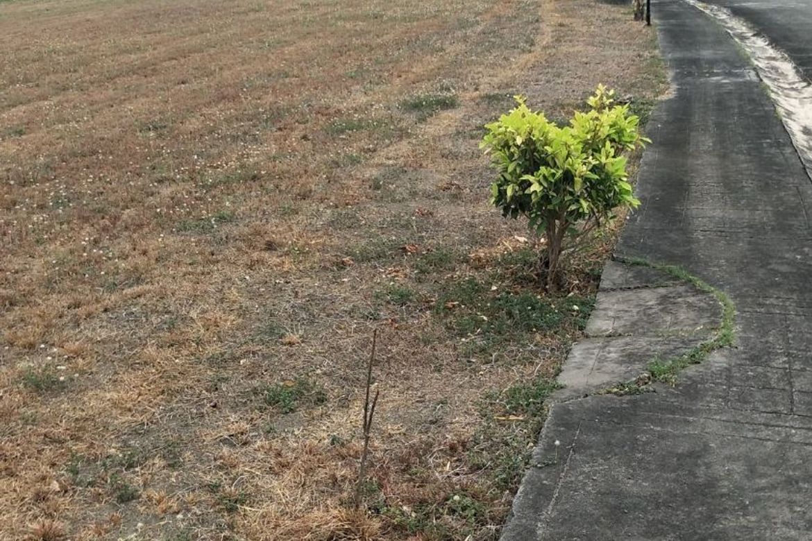 Land for Sale in Divisoria, Mexico, Pampanga – photo 3
