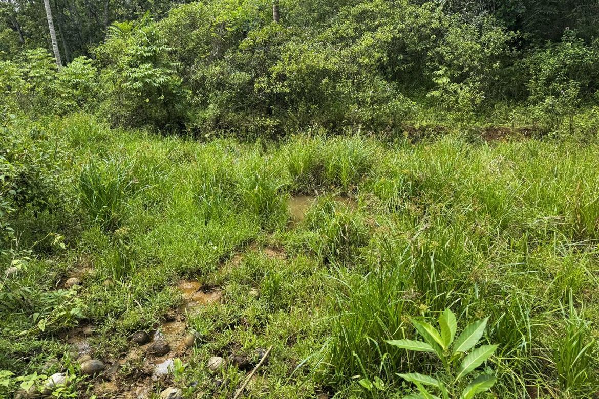 Land for Sale in Diwan, Dipolog, Zamboanga del Norte – photo 2