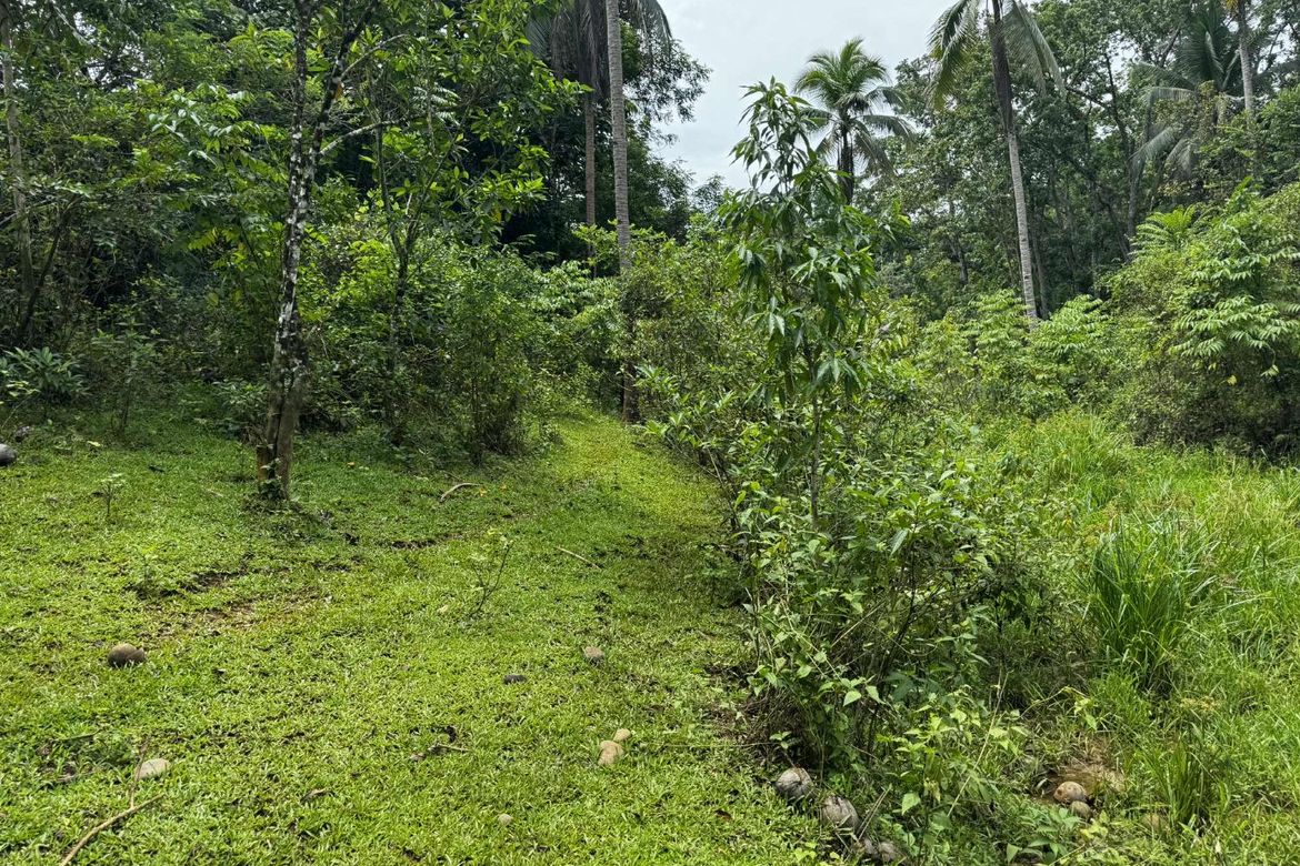 Land for Sale in Diwan, Dipolog, Zamboanga del Norte – photo 5