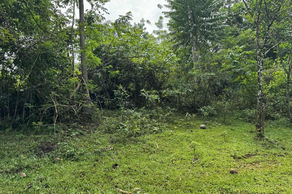 Land for Sale in Diwan, Dipolog, Zamboanga del Norte – photo 6