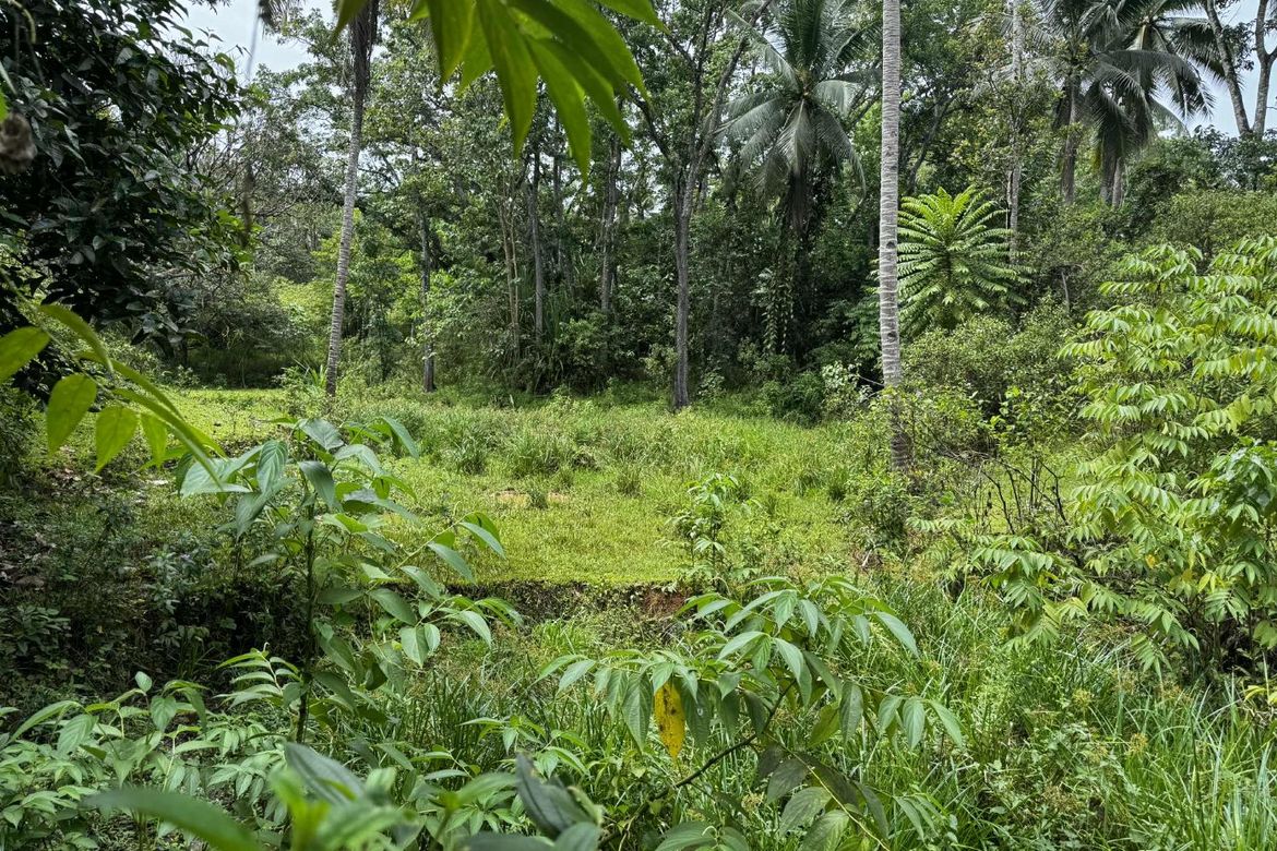 Land for Sale in Diwan, Dipolog, Zamboanga del Norte – photo 7