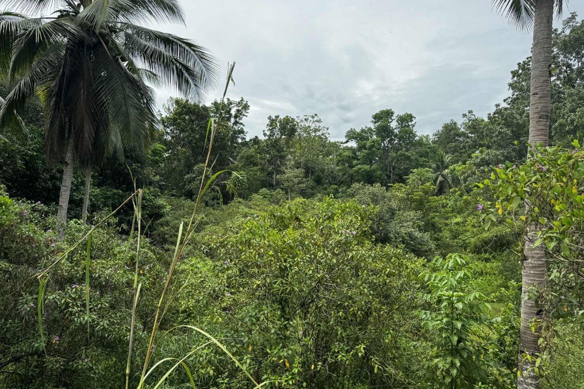 Land for Sale in Diwan, Dipolog, Zamboanga del Norte – photo 8