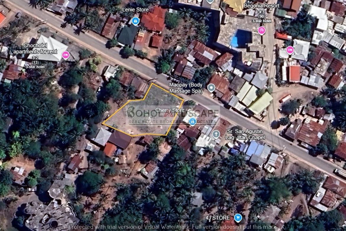 Land for Sale in Doljo, Panglao, Bohol – photo 2
