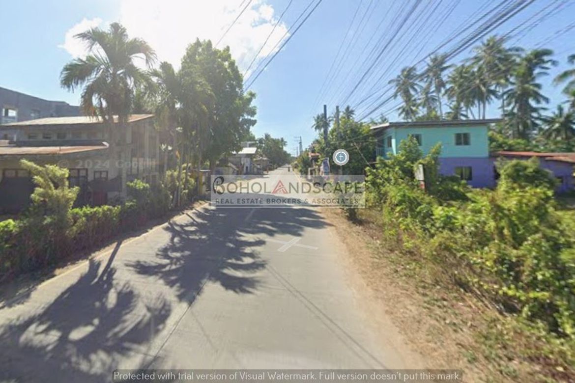 Land for Sale in Doljo, Panglao, Bohol – photo 4