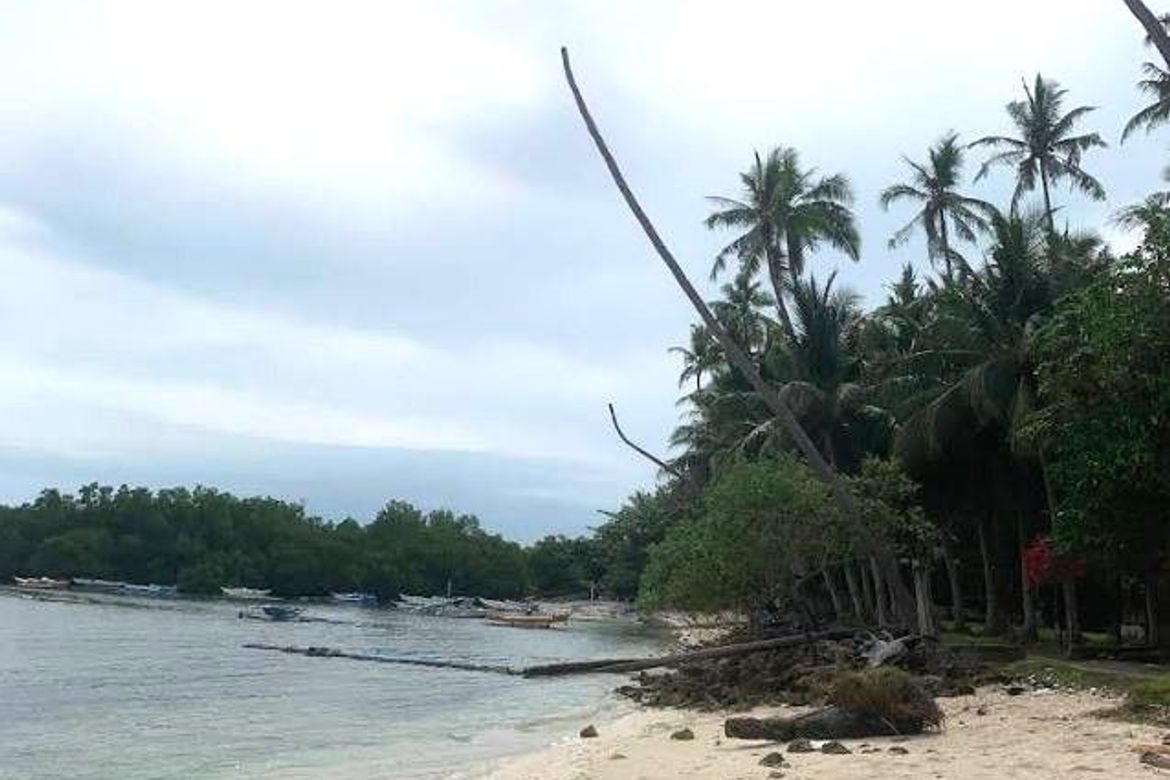 Land for Sale in Doljo, Panglao, Bohol – photo 5