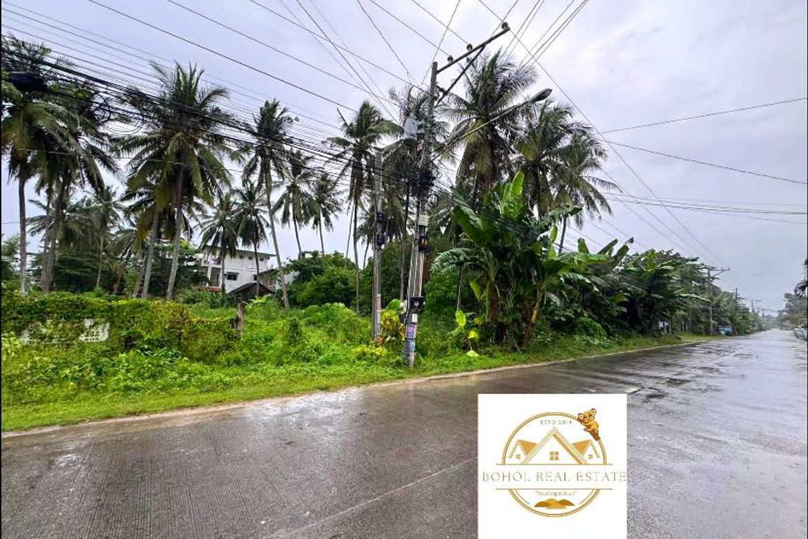 Land for Sale in Doljo, Panglao, Bohol – photo 2