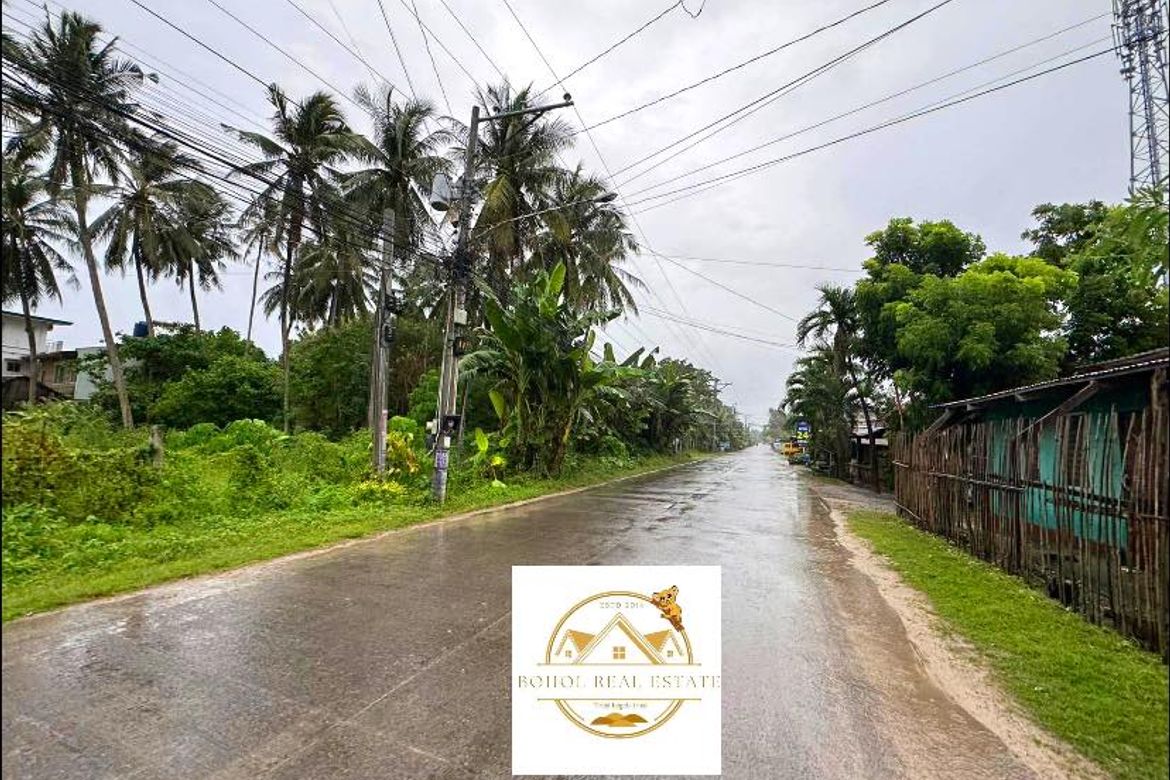 Land for Sale in Doljo, Panglao, Bohol – photo 4