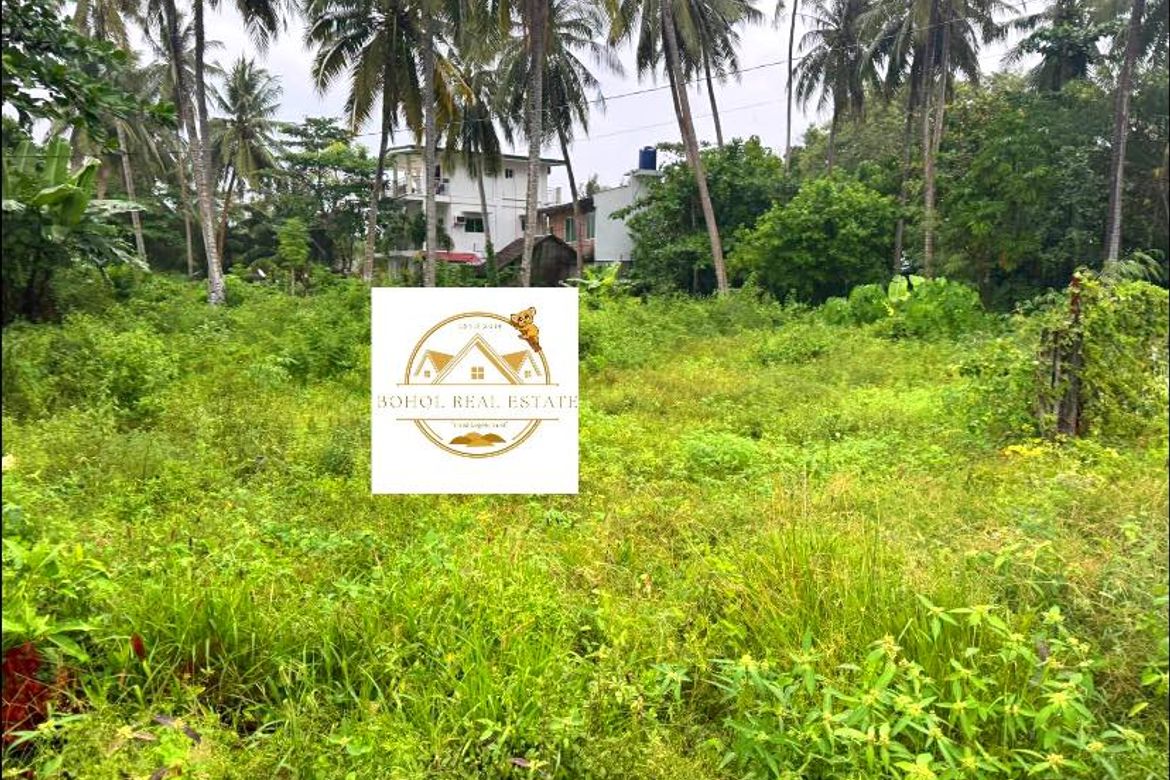 Land for Sale in Doljo, Panglao, Bohol – photo 5