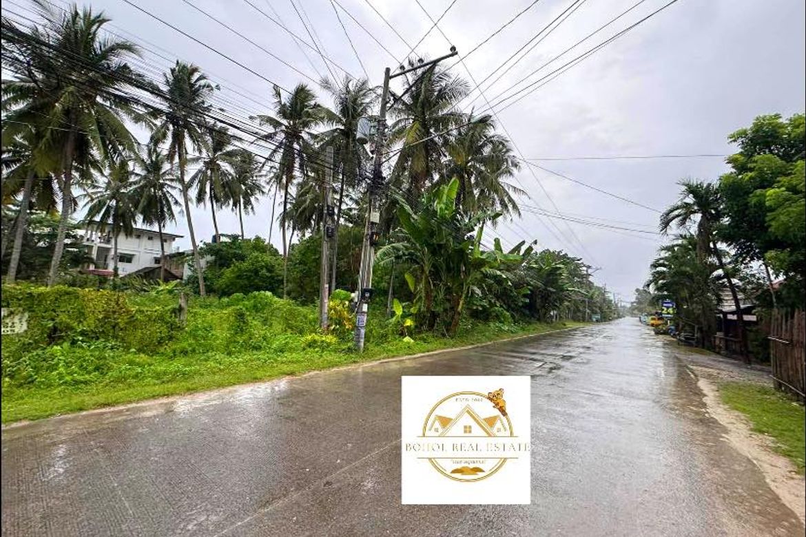 Land for Sale in Doljo, Panglao, Bohol – photo 8